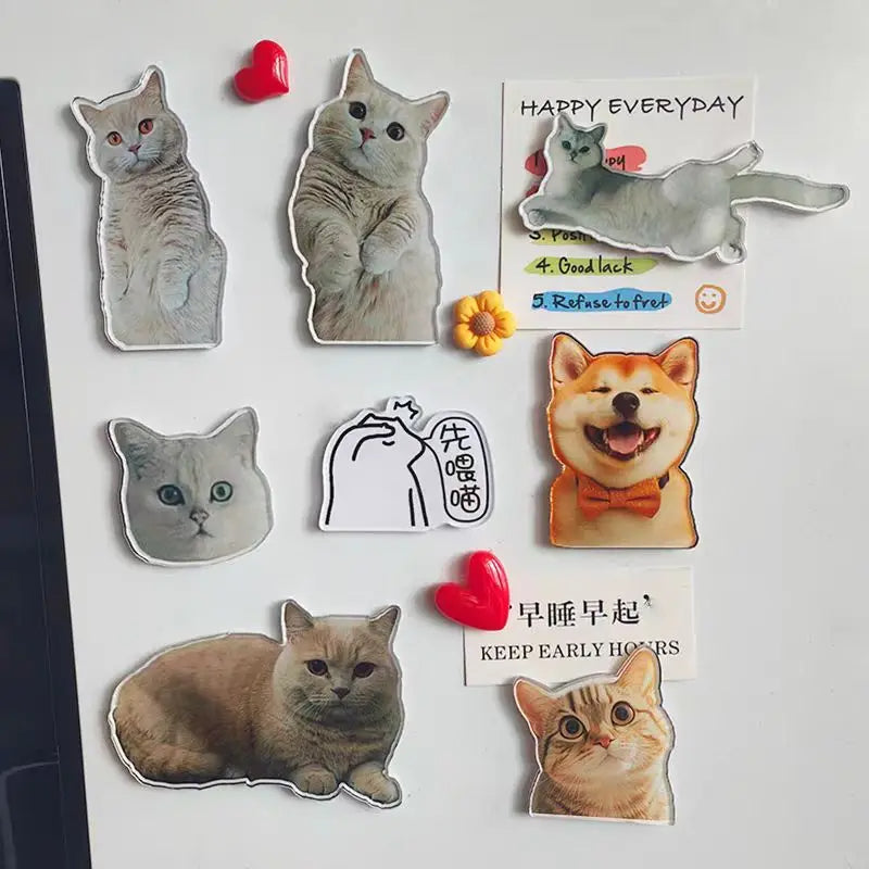 Custom Acrylic Fridge Magnets – Personalized Photo Stickers of Kids, Pets, Stars, or Anime Figures
