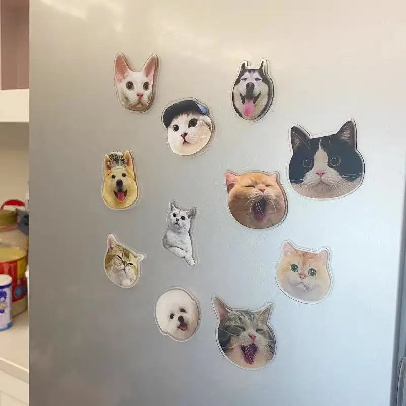 Custom Acrylic Fridge Magnets – Personalized Photo Stickers of Kids, Pets, Stars, or Anime Figures